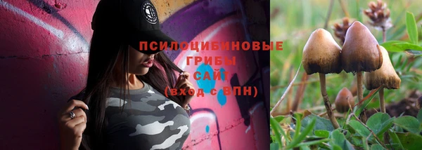 гашишное масло Богородицк