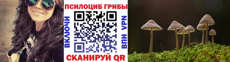 Псилоцибиновые грибы мухоморы  где купить наркотик  даркнет какой сайт  Малмыж 